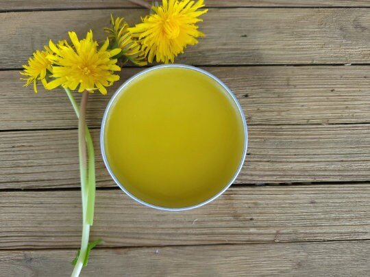 Dandelion Salve
